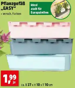 Thomas Philipps Pflanzgefäß ideal ,,EASY Angebot