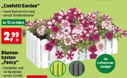 Thomas Philipps Confetti Garden Angebot