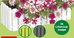 Thomas Philipps Blumen- kasten ,,Fency Angebot