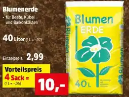 Thomas Philipps Blumenerde Angebot