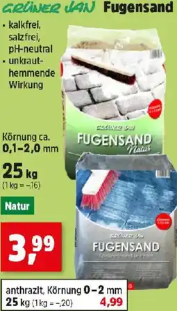 Thomas Philipps GRÜNER JAN Fugensand Angebot