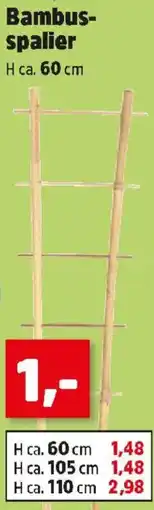 Thomas Philipps Bambus- spalier Angebot