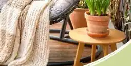 Thomas Philipps Outdoorteppich Angebot