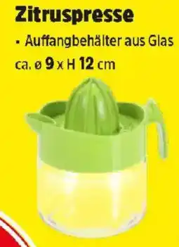 Thomas Philipps Zitruspresse Angebot
