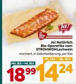 Billa Ja! Natürlich Bio-Spareribs vom STROHWOHLschwein Angebot