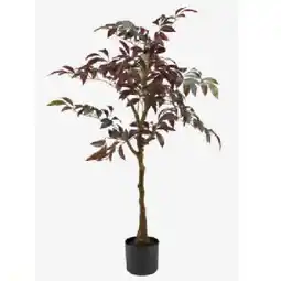 JYSK Kunstpflanze DVERGDYKKER 6426079 JYSK Angebot