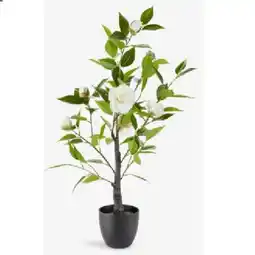 JYSK Kunstpflanze SOLOPGANG 6426078 JYSK Angebot