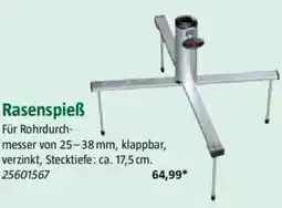 Bauhaus Rasenspieẞ Angebot