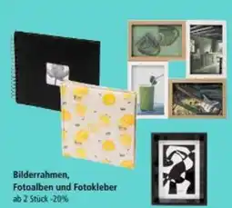Pagro Diskont Bilderrahmen, Fotoalben und Fotokleber Angebot