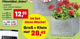 Thomas Philipps Pflanzkübel,,Kubus" Angebot