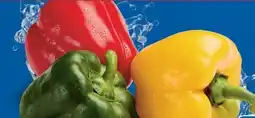 Lidl Bio Paprika-Mix Angebot