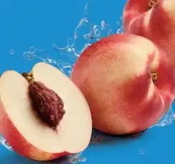 Lidl Nektarinen Angebot