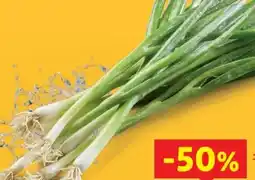 Lidl Jungzwiebeln Angebot