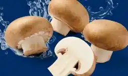 Lidl Champignons Angebot