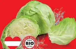 Lidl Bio Eisbergsalat Angebot