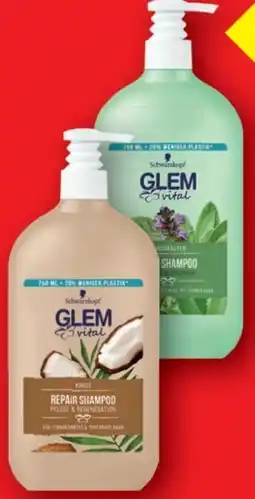 Lidl Schwarzkopf Glem Vital Shampoo Angebot