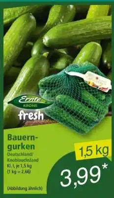 Norma Bauerngurken Angebot