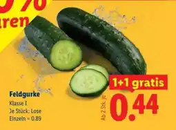 Lidl Feldgurke Angebot