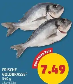 PENNY Frische goldbrasse Angebot