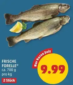 PENNY Frische forelle Angebot