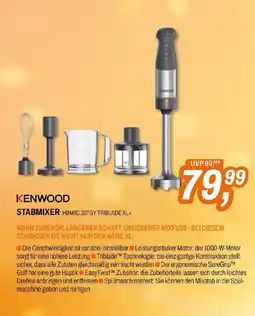 Expert Stabmixer Angebot