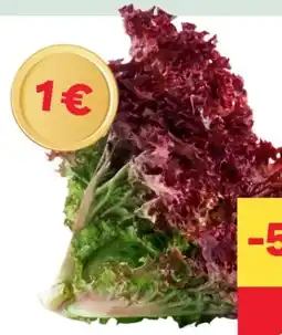 MPreis Lollo Angebot