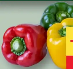 MPreis M Paprika Tricolore Angebot