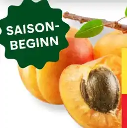 MPreis Marillen Angebot