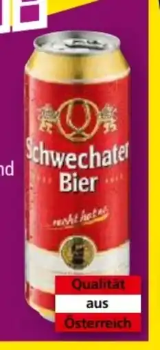 Norma Schwechater Lager Bier Angebot