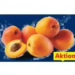 Lidl Marillen, Lidl Angebot