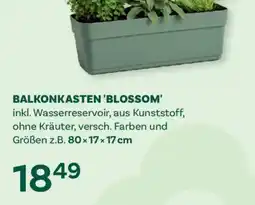Bellaflora Balkonkasten blossom Angebot