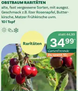 Bellaflora Obstbaum raritäten Angebot