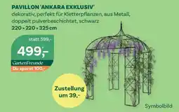 Bellaflora Pavillon 'ankara exklusiv' Angebot