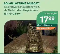 Bellaflora Solar laterne 'muscat' Angebot