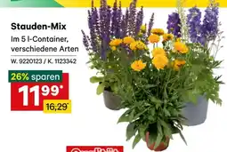 Lagerhaus Stauden-Mix Angebot