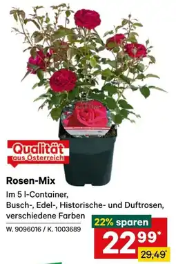 Lagerhaus Rosen-Mix Angebot
