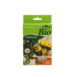 Dehner Gelbsticker Dehner Angebot