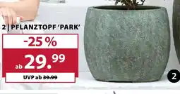 Dehner Pflanztopf park Angebot