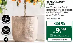 Dehner Pflanztopf trani Angebot