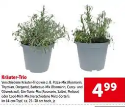 Interspar Kräuter-Trio Angebot