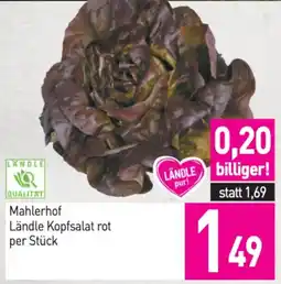 Sutterlüty Mahlerhof ländle kopfsalat rot per stück Angebot