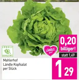 Sutterlüty Mahlerhof ländle kopfsalat per stück Angebot