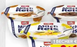 Billa Müller Milchreis Angebot
