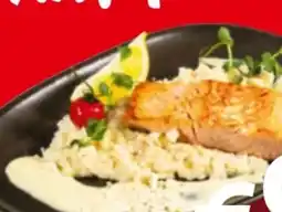 XXXLutz XXXLutz Lachsfiletsteak Risotto Angebot