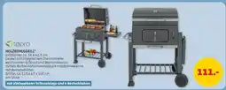 PENNY tepro HOLZKOHLEGRILL Angebot