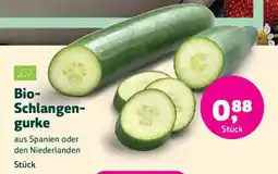 Denn's Biomarkt Bio- Schlangen- gurke Angebot