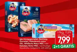 Spar Iglo Königsgarnelen, Backteig Garnelen, Polardorsch natur XXL, Wildlachs Natur MSC Angebot