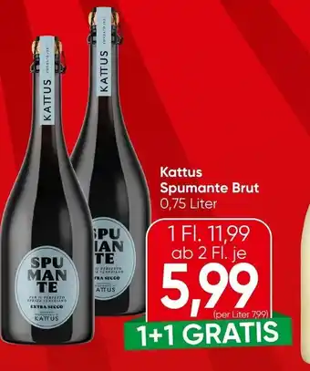 Spar Kattus spumante brut Angebot