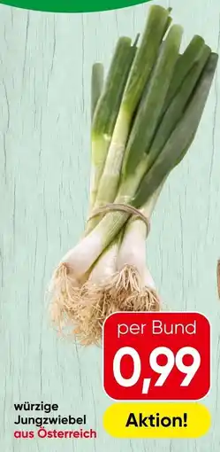Spar würzige Jungzwiebel Angebot