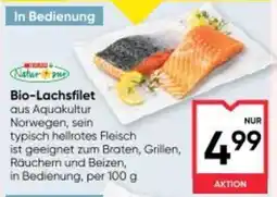 Maximarkt Bio-Lachsfilet Angebot